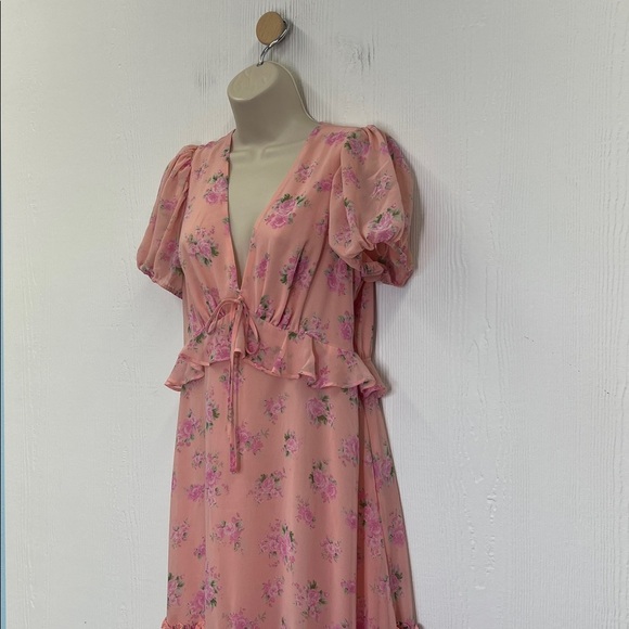 LoveShackFactory X Target - Fleur Chiffon Pink Floral Lined Maxi Dress Size 8 - Picture 5 of 12